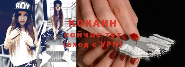 крисы Краснослободск