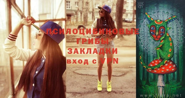 spice Кукмор