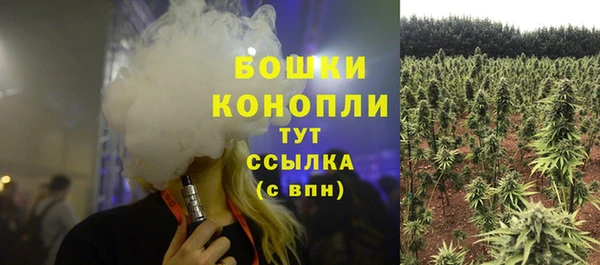 spice Кукмор